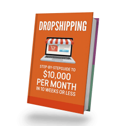 dropshipping book